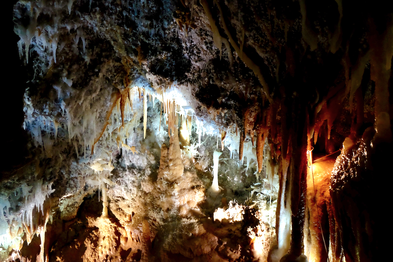 世界最古の洞窟とカモノハシ 空想地球旅行