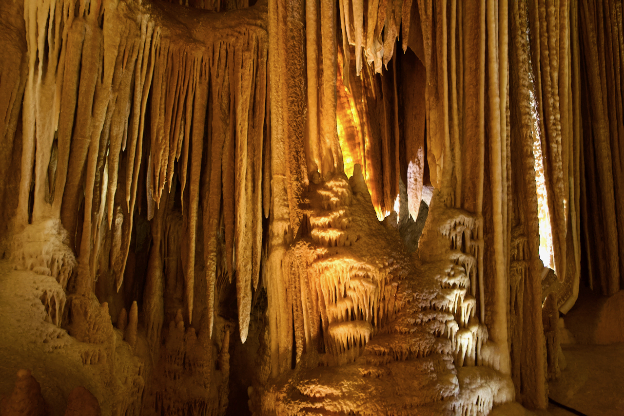 世界最古の洞窟とカモノハシ 空想地球旅行